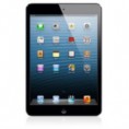 /products/ipad-mini-16gb-wifi-4g-negro-grafito/